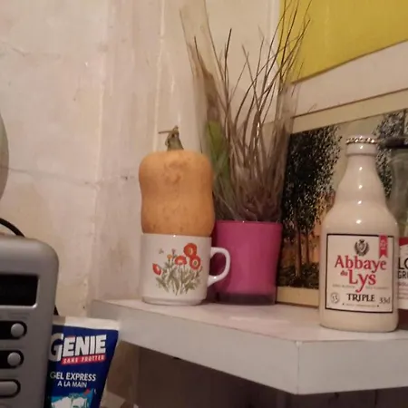 Room In Apartment - Nice Independent Comfortable Studio For One Guest In Paris 1 * Paris
