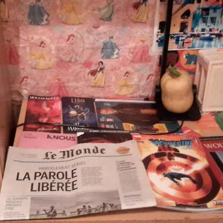 Guest house Room In Apartment - Nice Independent Comfortable Studio For One Guest In Paris 1
